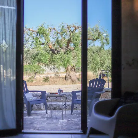 Td Trulli Albapetra Pool Olive Trees
