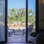 Td Trulli Albapetra Pool & Olive Trees